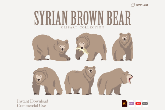 Download Syrian Brown Bear Clipart Set - Brown bear clipart Collection
