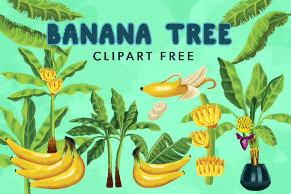 Download Banana Tree Clipart Free - Tree clipart Collection
