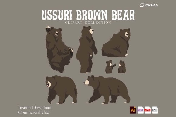 Download Ussuri Brown Bear Clipart - Brown bear clipart Collection